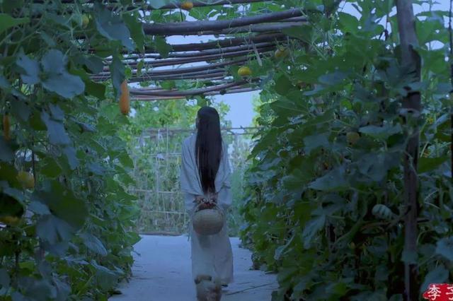 李子柒为什么能红，清华教授这样说