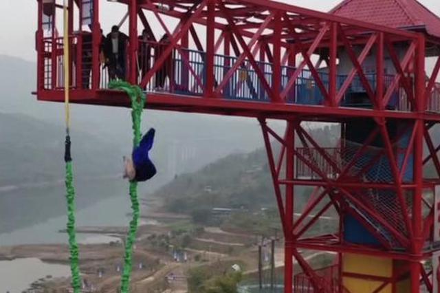 重庆景区开业让猪蹦极？ 专家：不利于景区形象建设
