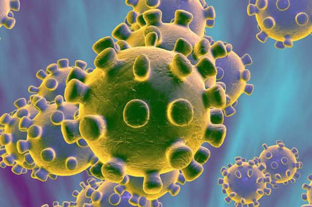 世卫组织：新型冠状病毒疫情不构成国际关注的突发卫生事件