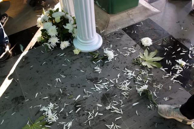 赵忠祥遗体告别仪式 上演让人混乱的一幕