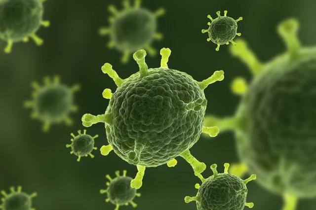 台湾确诊2例新型冠状病毒感染的肺炎病例