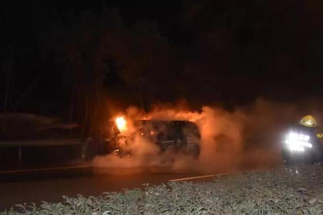 野猪横穿马路撞轿车：围观引发多车追尾 一车几近烧毁