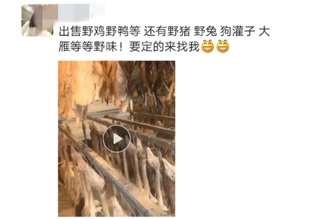 微商在朋友圈售卖野味和三无口罩？南通市场监管部门已介入