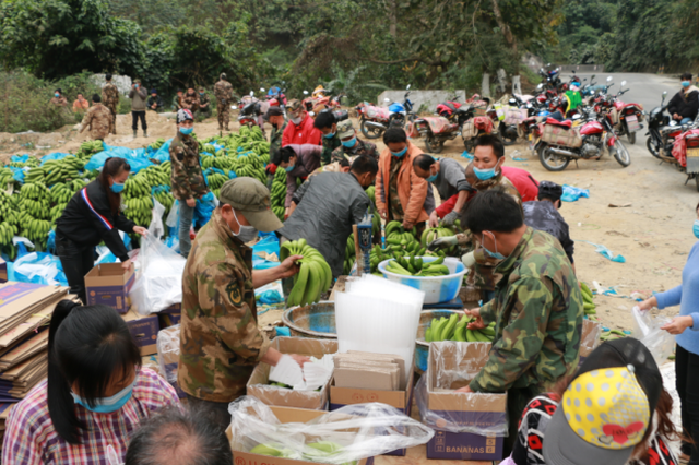 云南河口脱贫村民向湖北赠22吨香蕉，30辆摩托车运出村