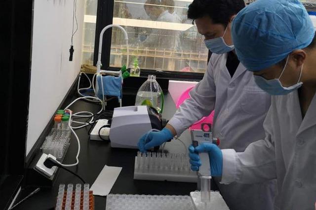 湖北疑似病例确诊速度加快 核酸日检测能力提升