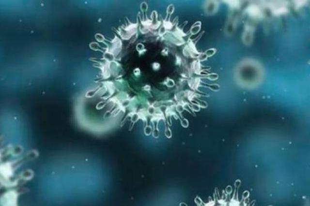 河南一高速服务区保安确诊：同事已确诊4例，急寻接触者