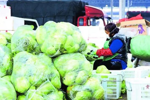 菜烂地里，菜农咋办？稳住！大批“保菜”政策来了