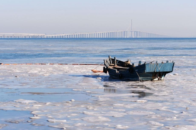 山东青岛海域出现大量海冰