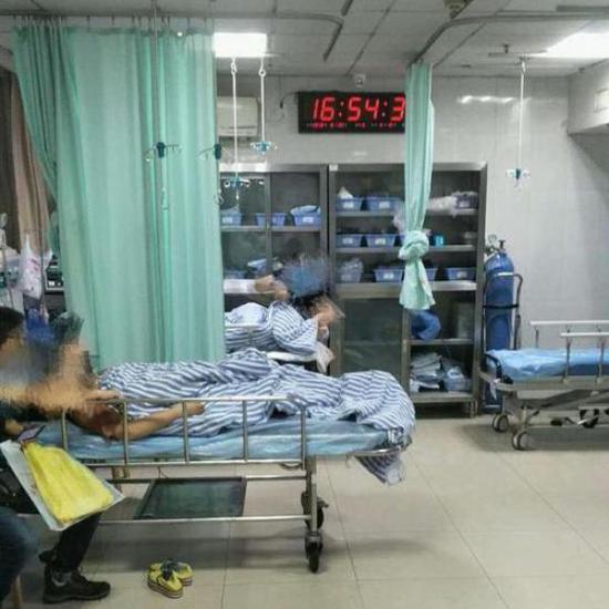 保安2月前救助宠物狗反被咬 确诊狂犬病3天后死亡