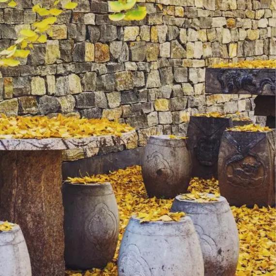 一场秋雨一场凉 下周江苏最低气温都将降至1字头！