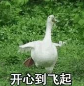 「气温」本周末气温：25℃+！网友：夏天到了,我还在放寒假
