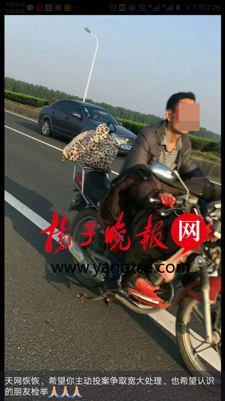 热心大妈随手拍 “曝光”了肇事逃逸者