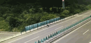 患精神病大妈骑车闯入高速 交警折腾3小时送其回家