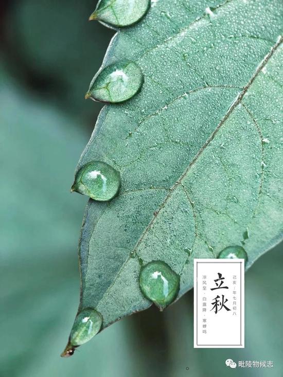 作者:时