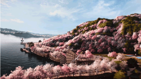 飞跃江苏