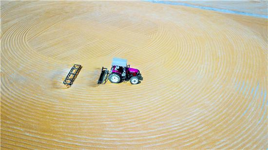 价格低 大户囤粮惜售！农民：托市收购何时启动？