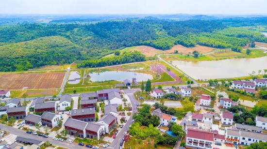 ���ɹ��������