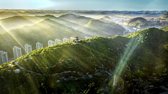 航拍被绿色环绕的延安市宝塔山。新华社记者 陶明 摄