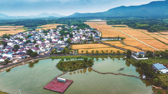 图为5月30日航拍的南京市溧水区晶桥镇芝山村。 朱红生 摄 (视觉江苏网供图)