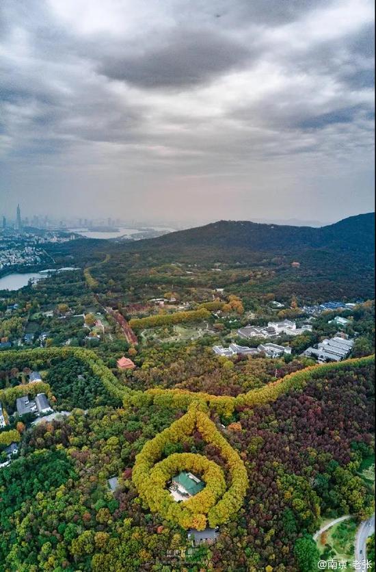 南京中山陵美龄宫