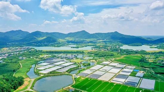 ��һ��ũ��