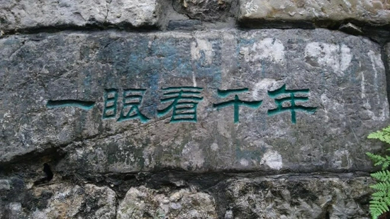 图/@繁华駱尽