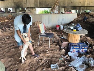 杨宇和收留的流浪狗一起,住在松岗的一处高架桥底。