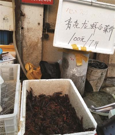路边龙虾摊打出广告:青壳龙虾白菜价,100元7斤。