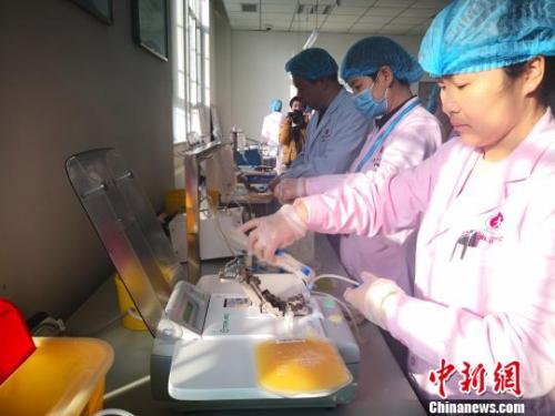资料图:工作人员进行病毒灭活血浆制备流程。 胡耀荣 摄
