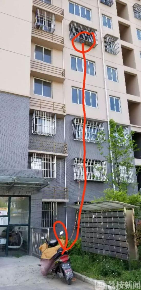 (图片来源于网络)