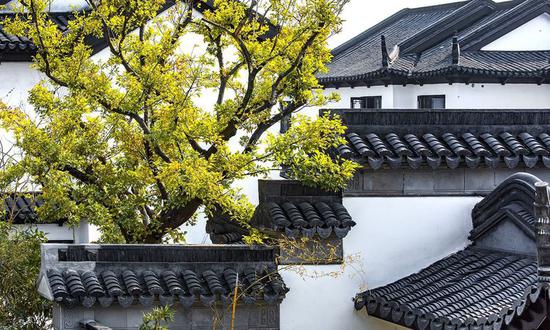 《最江南》 赵溯汶