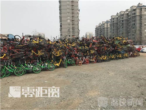 南京处理万辆僵尸单车:每辆罚50元 不拖走就拍