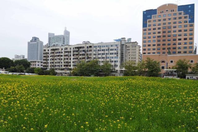 南京鼓楼区今年排出187个重大项目 总投资2129亿元