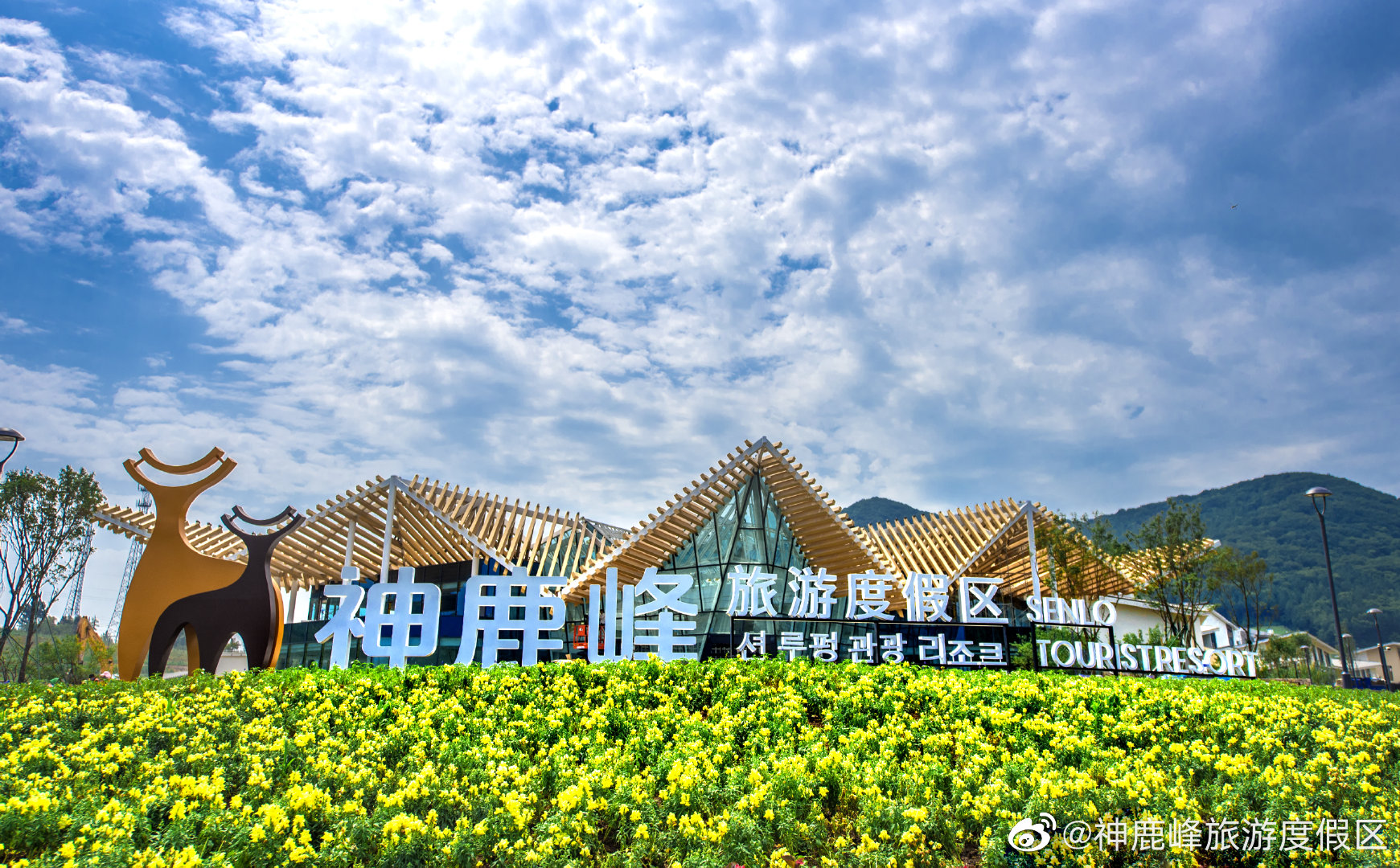 林间深处有鹿鸣 悠然古路攀神峰