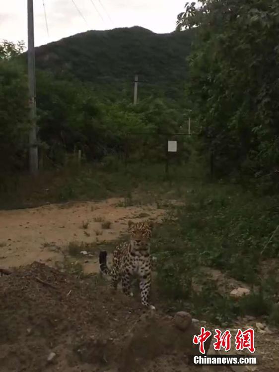珲春人口有多少_珲春(3)
