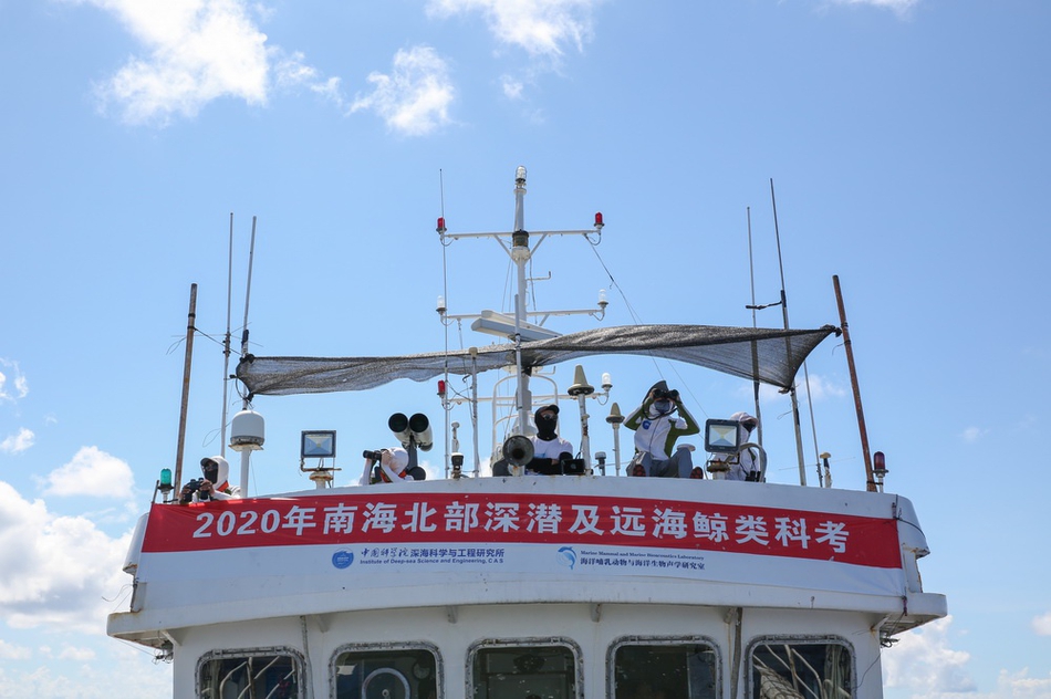 18f1-iwxpesy1866226.jpg