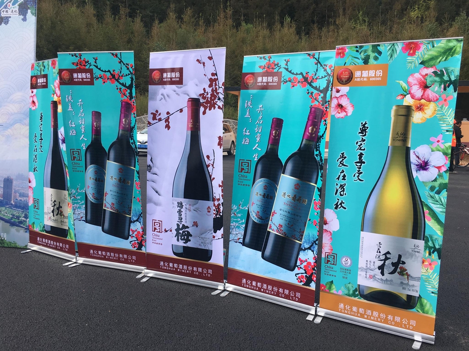 通化市金厂镇总人口_通化市金厂镇采摘园
