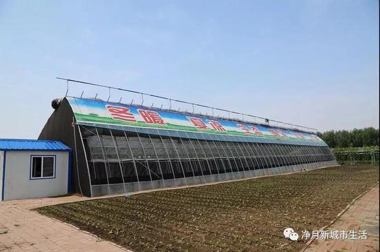 农博园的核心技术装备集中展示区: