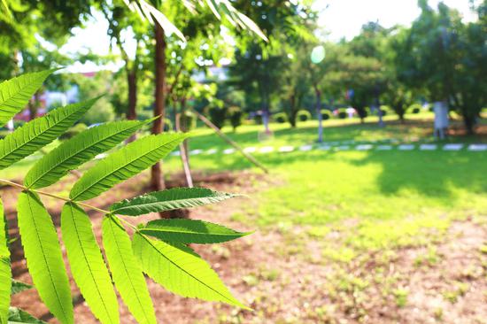 世界上没有两片相同的叶子,当然,也不会有一样的风景。