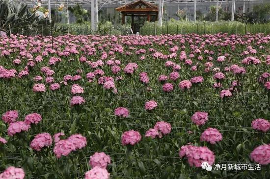渔业展馆:飘然游鱼在水间