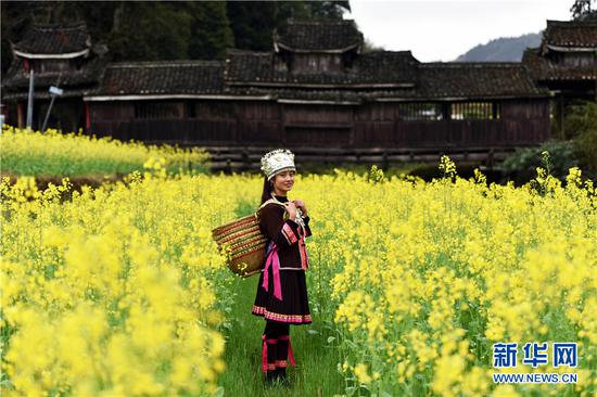 村民在广西龙胜各族自治县乐江镇地灵村的油菜花田留影。