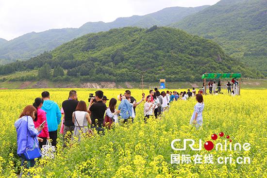 游客在油菜花丛中赏花拍照