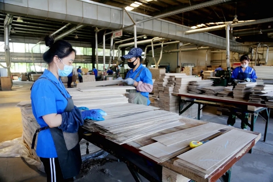 ▲敦化市少数民族家具类民品企业吉林新元木业有限公司实施品牌战略，先后获得“中国名牌”“国家出口产品免验”“中国驰名商标”等称号。图为地板生产车间。
