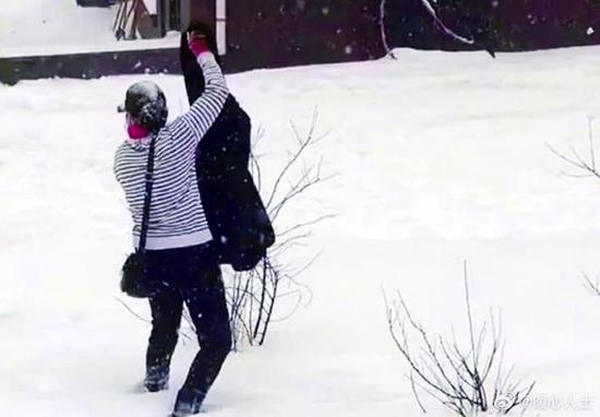 东北阿姨用雪洗“貂儿”上热搜