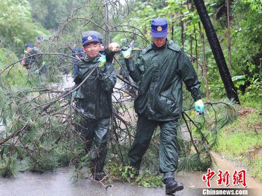 吉林省森林消防员正在进行清障作业 刘栋 摄