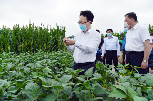 为推动习近平总书记视察吉林重要讲话重要指示精神落地生根、开花结果,8月10日,吉林省委副书记、省长景俊海到四平市调研。邹乃硕/摄