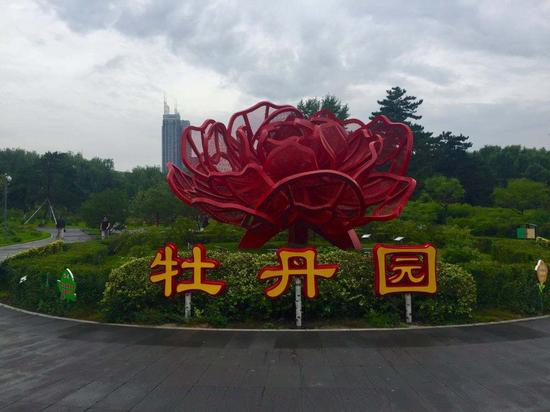 大学生牡丹园游玩攻略,牡丹园附近大学