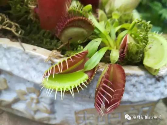 共和国足迹主题展厅展厅:
