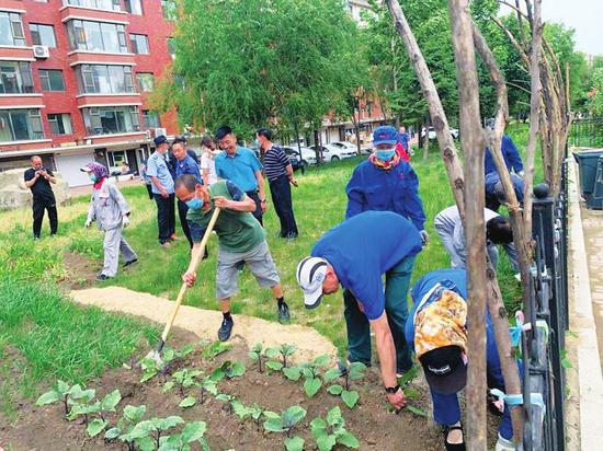 长春市宽城区柳影街道街道行政执法大队对扶余路社区辖区内毁绿种菜的绿化带部分进行集中清理。记者 于悦 摄