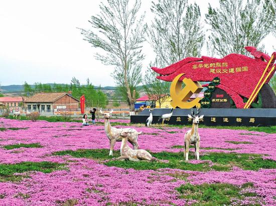 舒兰市朝阳镇绿化带里的鲜花引人驻足。